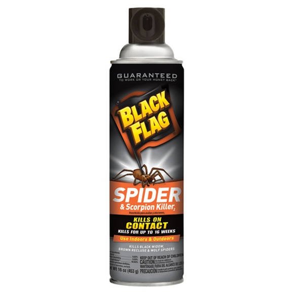 BLACK FLAG SPIDER & SCORPION KILLER SPRAY (16 oz)