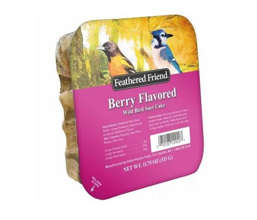 Feathered Friend Berry Flavored Suet Wild Bird Food (11.75 oz)