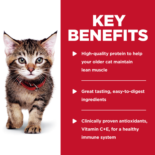 Hill's Pet Nutrition Science Diet Kitten Tender Chicken Dinner (2.8 oz)